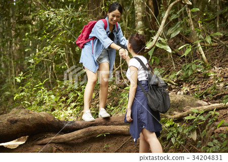 a young woman is holding her friend's hand to jump down in a forest. a young woman is holding her friend's hand to jump down in a forest. 34204831