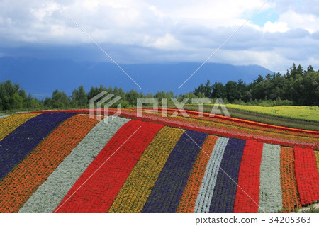 Biei Shiki Ayanooka Biei Shiki Ayanooka 34205363