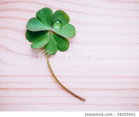 Clover leaves on shabby wooden background. 34205601