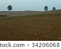 Anseong ranch, Anseong-si, Gyeonggi-do 34206068