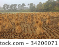 Anseong ranch, Anseong-si, Gyeonggi-do 34206071