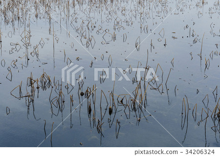 Water Fog Park, Cute Island, Gwangju, Gyeonggi-do 34206324