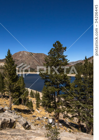 The Tioga Lake at Yosemite, CA, USA 34206445