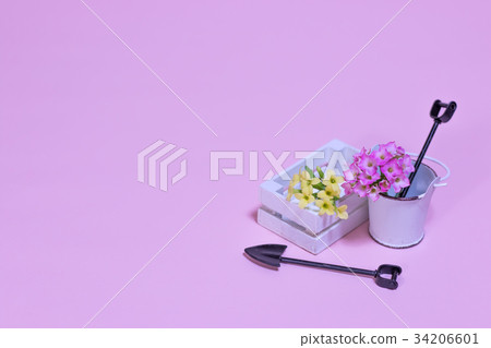 Miniature Gardening Kit with Pink Background Miniature Gardening Kit with Pink Background 34206601