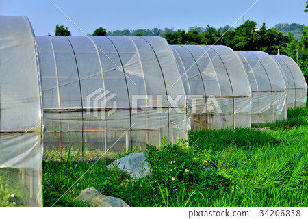 風景 鄉村 溫室 田園 農地 農村 菜園 種菜 菜圃 暖房 田野 田園風光 田園生活 牧歌 鄉下 34206858