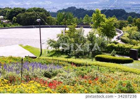 Fuefukigawa Fruit Park (summer) 34207236