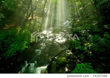 The light of Karuizawa Yukawa 34207366