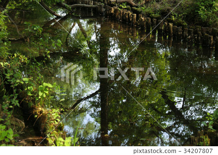 Yagawa Green Area 34207807