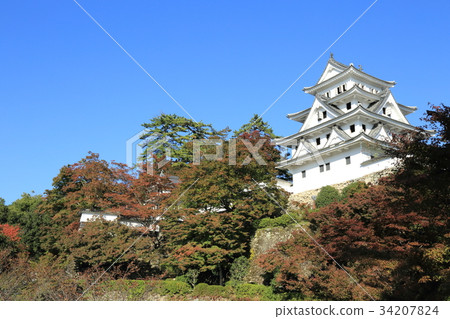 Gujo Hachiman Castle in autumn Gujo Hachiman Castle in autumn 34207824