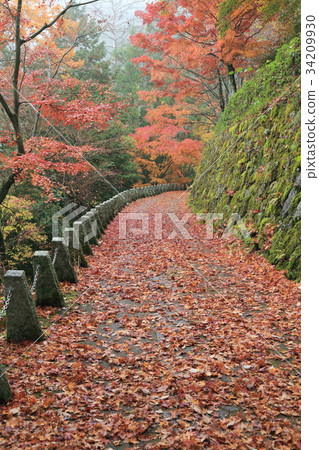 Okusenbon高山觀測所秋葉 34209930