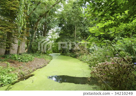 Forest, brook, Ingel Home Brouhy Art Museum, Germany 34210249