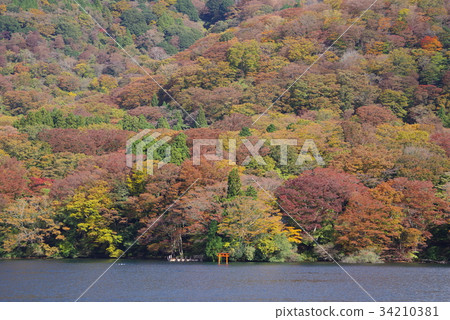 秋天的箱根 秋天的箱根 34210381