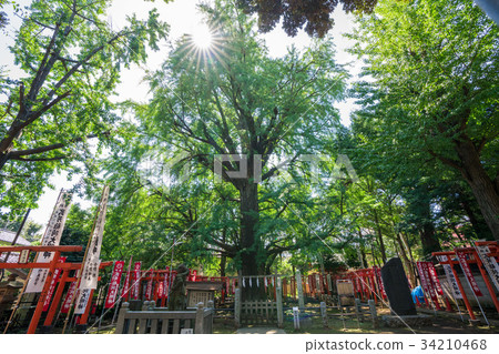 Tokyo Zoshigaya Oniko God of the Oniko Mother God Tokyo Zoshigaya Oniko God of the Oniko Mother God 34210468