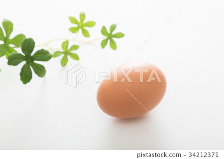 An egg An egg 34212371