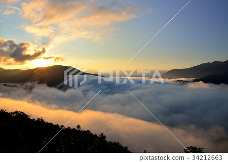 Branch Pass Branch Pass 34212663