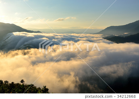 Branch Pass 34212668