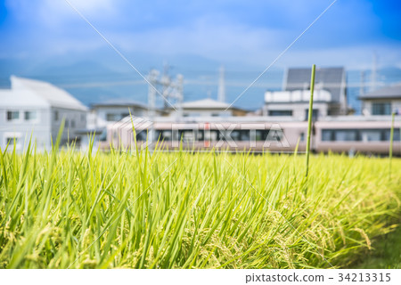 小田急線有限公司在開成附近表達浪漫汽車30000表格EXE 34213315