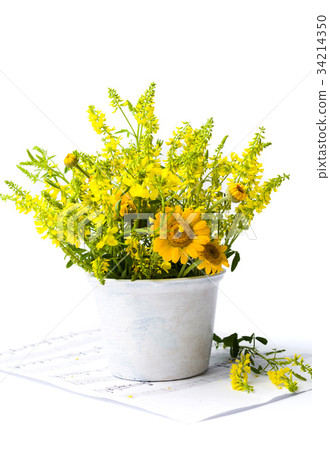Yellow wildflowers arrangement on note sheet Yellow wildflowers arrangement on note sheet 34214350