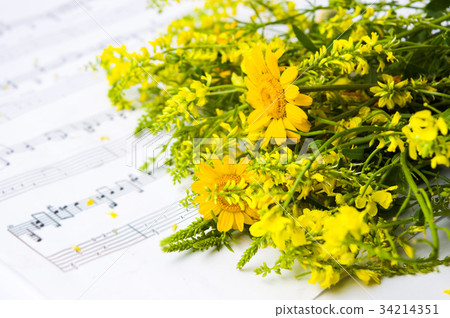 Yellow wildflowers arrangement on note sheet Yellow wildflowers arrangement on note sheet 34214351