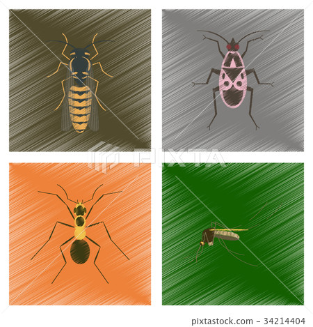 Shading Insect assembly flat shading style illustration insect - Stock Illustration ...