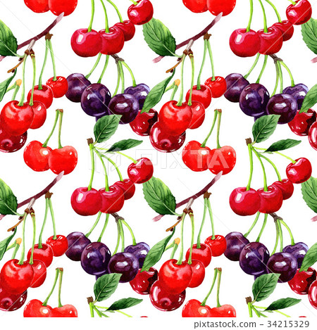 Cherry wild fruit pattern in a watercolor style. Cherry wild fruit pattern in a watercolor style. 34215329