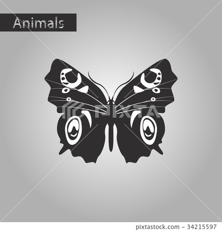 black and white style icon of butterfly black and white style icon of butterfly 34215597