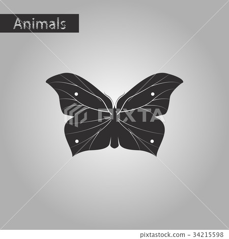 black and white style icon of butterfly black and white style icon of butterfly 34215598