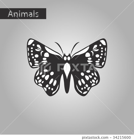 black and white style icon of butterfly 34215600