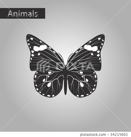 black and white style icon of butterfly black and white style icon of butterfly 34215601