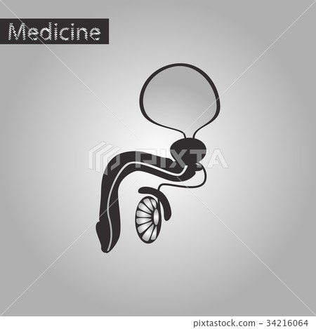 black and white style icon of Male Reproductive 34216064