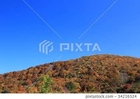 Scenery of autumnal leaves from Toriumi blue line 3 consolidation Scenery of autumnal leaves from Toriumi blue line 3 consolidation 34216324