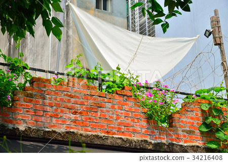 Life everyday quilt clothes drying clothes drying clothes home sunning bricks upstairs plants ordinary housework sun sunshine safflower Life everyday quilt clothes drying clothes drying clothes home sunning bricks upstairs plants ordinary housework sun sunshine safflower 34216408