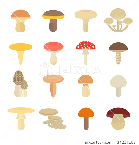 Set Vector Illustration of Mushrooms 34217193
