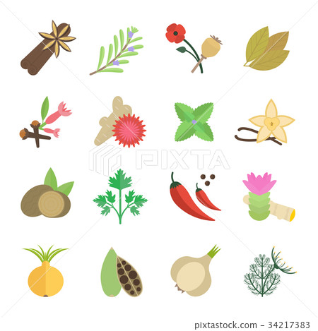 Set Vector Illustration of Spice 34217383