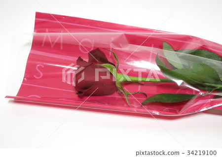 Roses 34219100