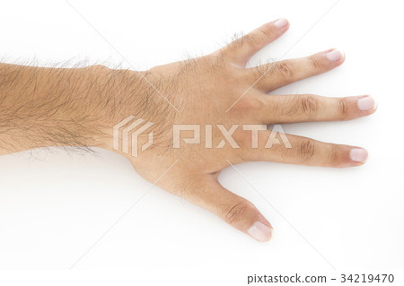 Hairy male left hand 34219470