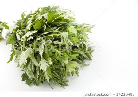 Wormwood Wormwood 34220493