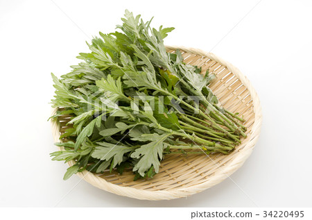 Wormwood 34220495