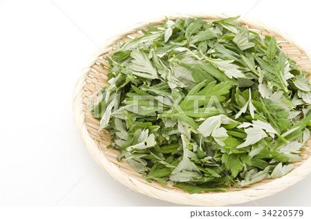 Wormwood Wormwood 34220579