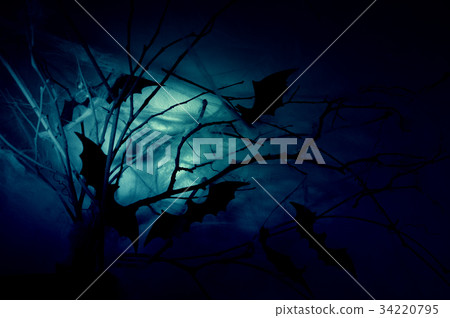 Bats on branches Bats on branches 34220795