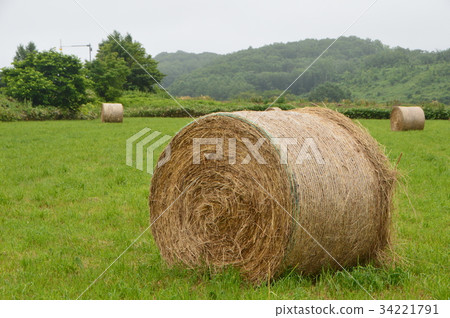 Ranch and roll Bale lap silo(北海道紋別) Ranch and roll Bale lap silo(北海道紋別) 34221791
