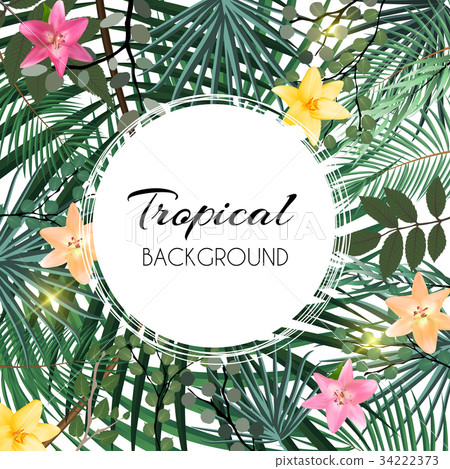 Abstract Natural Tropical Frame Background with 34222373