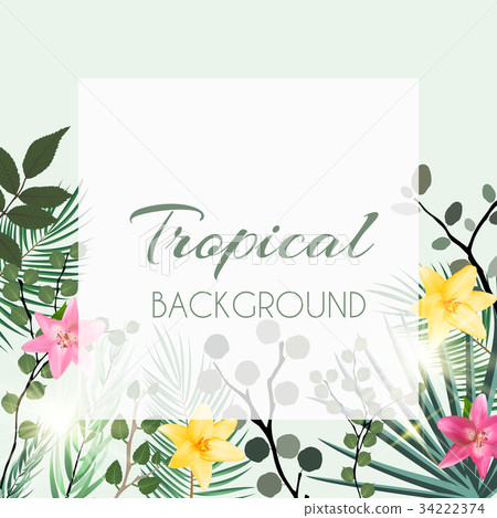 Abstract Natural Tropical Frame Background with 34222374