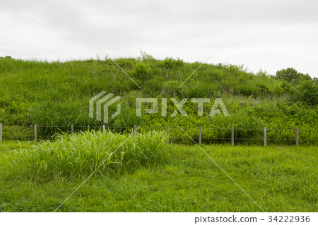 Summer of the ancient tomb Summer of the ancient tomb 34222936