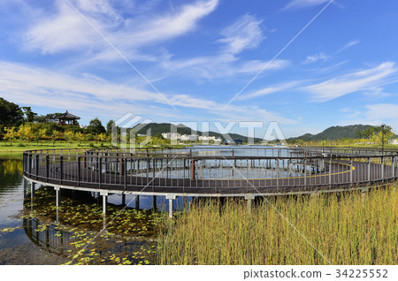 Sejong Lake Park, Sejong City, Chungnam, Korea Sejong Lake Park, Sejong City, Chungnam, Korea 34225552
