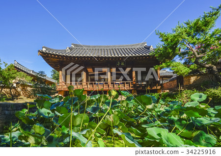Yeonpyeong，Seokseji，營養，Gyeongbuk，韓國 34225916