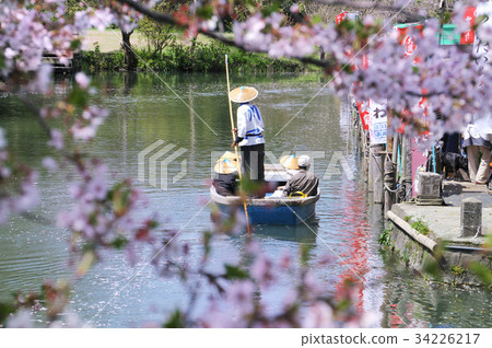 柳川河後裔 34226217