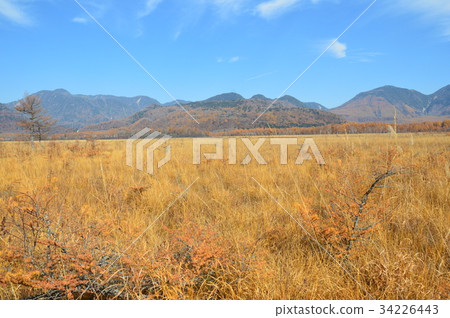 日光/ Senjogahara（栃木縣日光市） 34226443