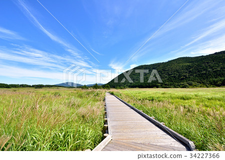 Iida-Kogen Tade原始的濕地自然研究路大分縣Kusuecho Choshahara 34227366