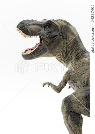Tyrannosaurus Tyrannosaurus Rex T Rex Stock Photo 34227403
